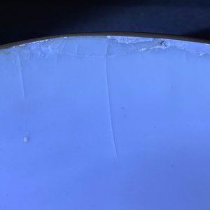 Een Chinese blauw-witte 'Bleu de Hue' dekselkom voor de Vietnamese markt, 19e eeuw — foto 11