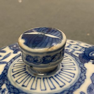 Een Chinese blauw-witte 'Bleu de Hue' dekselkom voor de Vietnamese markt, 19e eeuw — foto 9
