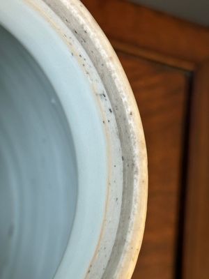 Een Chinese blauw-witte dekselpot met vogels tussen bloesemtakken, Transitie periode — foto 10