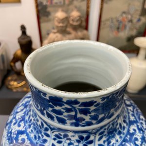 Een Chinese blauw-witte dekselvaas met floraal decor, Kangxi — foto 11
