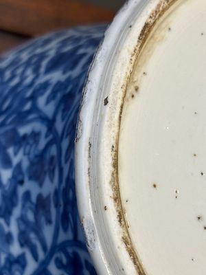 Een Chinese blauw-witte dekselvaas met lotusslingers, Kangxi — foto 18
