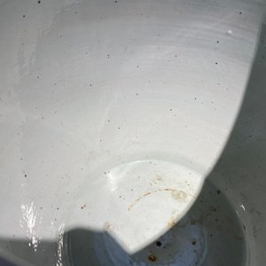 Een Chinese blauw-witte 'draken' viskom, Qianlong/Jiaqing — foto 18