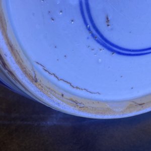 Een Chinese blauw-witte 'Drie vrienden van de winter' pot, Kangxi — foto 19
