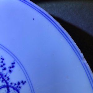 Een Chinese blauw-witte 'Drie vrienden van de winter' schotel, Xuande mark, Kangxi — foto 5