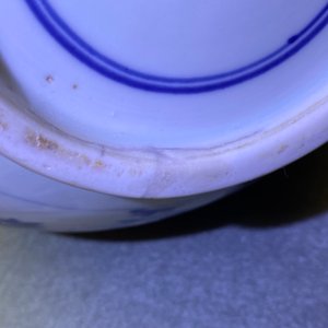 Een Chinese blauw-witte en koperrode flesvormige vaas met perziken en inscriptie, Kangxi — foto 27