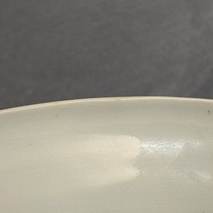 Een Chinese blauw-witte en koperrode schotel met zeedieren, Kangxi — foto 9