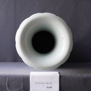 Een Chinese blauw-witte en koperrode vaas met olifantenoren, 19e eeuw — foto 9