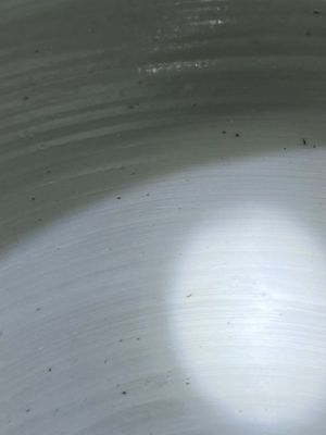 Een Chinese blauw-witte 'Hehe Erxian' pot, Kangxi — foto 13