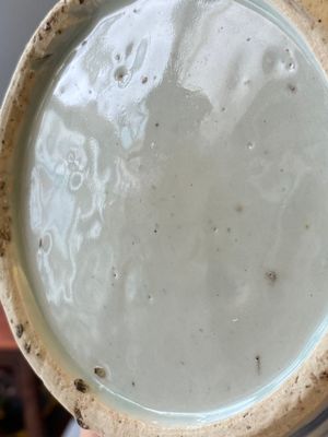 Een Chinese blauw-witte kalebasvaas met lotusslingers, Jiajing/Wanli — foto 17