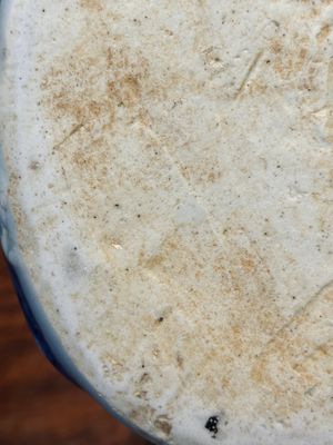 Een Chinese blauw-witte kendi in de vorm van een kikker, Wanli — foto 16