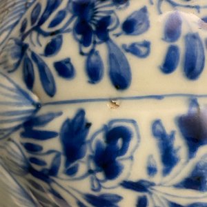 Een Chinese blauw-witte kendi met floraal decor, Kangxi — foto 11