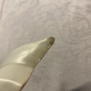 Een Chinese blauw-witte ko-sometsuke schotel in de vorm van een waaier voor de Japanse markt, Tianqi/Chongzhen — foto 9