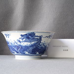 Een Chinese blauw-witte kom met draken en karpers, Xuande merk, Kangxi — foto 19