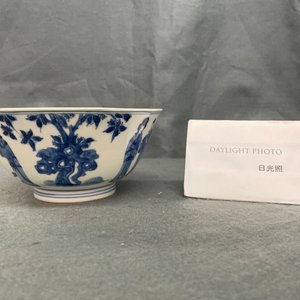 Een Chinese blauw-witte kom met Lange Lijzen, 'Qi Zhen Ru Yu' merk, Kangxi — foto 8