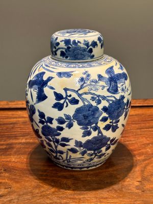 Een Chinese blauw-witte pot met deksel met floraal decor, Kangxi — foto 1