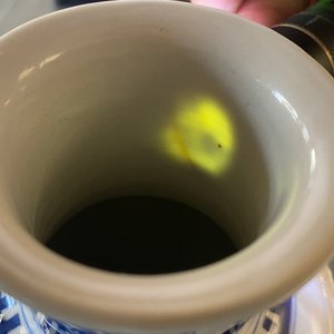 Een Chinese blauw-witte rouleau vaas met kylins, Kangxi — foto 14