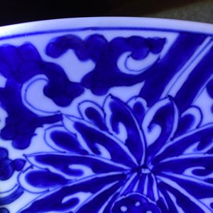 Een Chinese blauw-witte schotel met lotusslingers, Kangxi — foto 5