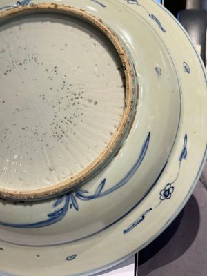 Een Chinese blauw-witte schotel met vogels bij een vijver, Jiajing — foto 6