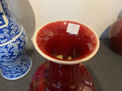 Een Chinese blauw-witte 'Shou' vaas met vlinders en een paar flesvormige sang-de-boeuf-geglazuurde vazen, 19/20e eeuw — foto 9