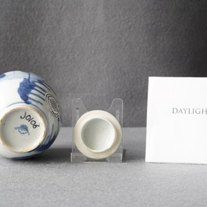 Een Chinese blauw-witte theebus met deksel, Kangxi — foto 10