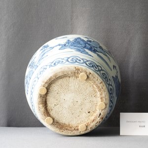 Een Chinese blauw-witte vaas met boten in een bergachtig landschap, Ming — foto 16