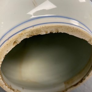 Een Chinese blauw-witte vaas met een landschap, Kangxi — foto 13