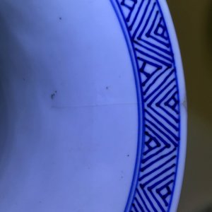 Een Chinese blauw-witte vaas met floraal decor, Kangxi — foto 9