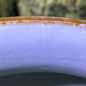 Een Chinese blauw-witte vaas met florale panelen, Kangxi — foto 12