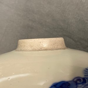 Een Chinese blauw-witte vaas met herten en kraanvogels, Kangxi — foto 8