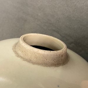 Een Chinese blauw-witte vaas met herten en kraanvogels, Kangxi — foto 10