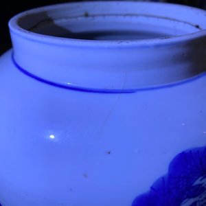 Een Chinese blauw-witte vaas met herten en kraanvogels, Kangxi — foto 7