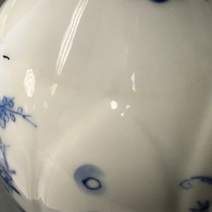 Een Chinese blauw-witte vaas met 'Lange Lijzen' in een tuin, Kangxi — foto 12