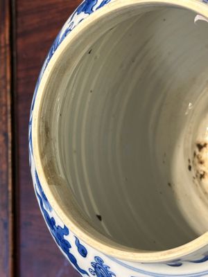 Een Chinese blauw-witte vaas met 'Lange Lijzen', Kangxi — foto 6