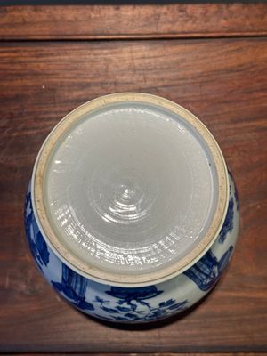 Een Chinese blauw-witte vaas met 'Lange Lijzen', Kangxi — foto 7