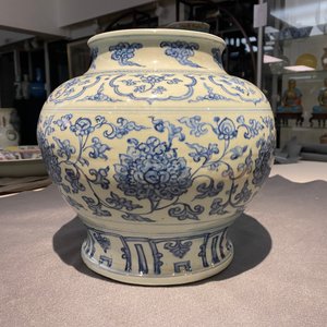 Een Chinese blauw-witte vaas met lotusslingers, Hongzhi — foto 12