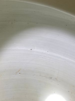 Een Chinese blauw-witte vaas met lotusslingers, Kangxi — foto 10
