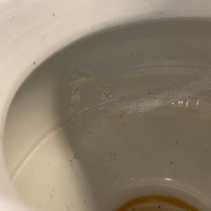 Een Chinese blauw-witte vaas met lotusslingers, Qianlong — foto 17