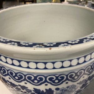 Een Chinese blauw-witte viskom, 19e eeuw — foto 20