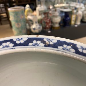 Een Chinese blauw-witte viskom, 19e eeuw — foto 25