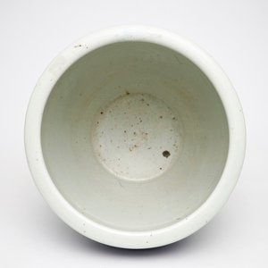 Een Chinese blauw-witte viskom met blauwe fondkleur, 19e eeuw — foto 5