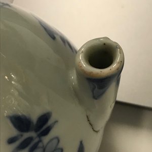 Een Chinese blauw-witte waterdruppelaar met 'Lange Lijzen', Kangxi — foto 9