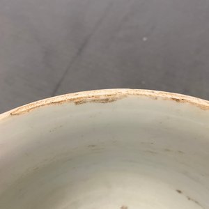 Een Chinese blauw-witte wierookbrander met fabeldieren, Transitie periode — foto 10