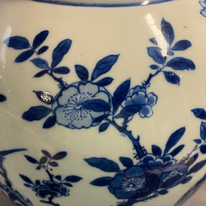 Een Chinese blauw-witte yenyen vaas met een vogel bij bloesems, Kangxi — foto 20