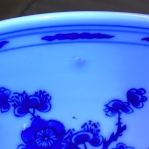 Een Chinese blauw-witte yenyen vaas met een vogel bij bloesems, Kangxi — foto 15