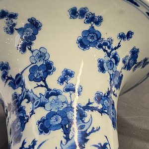 Een Chinese blauw-witte yenyen vaas met een vogel bij bloesems, Kangxi — foto 16
