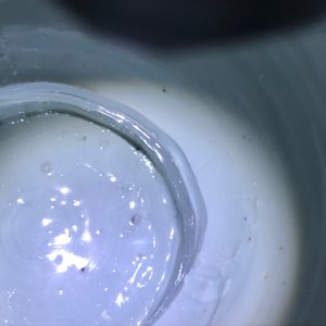 Een Chinese blauwwitte balustervaas, Transitie periode — foto 22