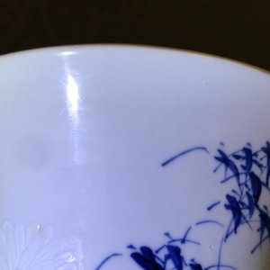 Een Chinese blauwwitte 'bianco sopra bianco' yenyen vaas met vogels bij bloesems, Kangxi — foto 11
