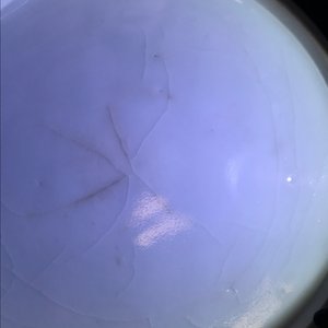 Een Chinese blauwwitte dekseldoos met drie compartimenten, 19e eeuw — foto 14