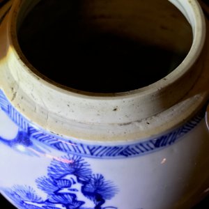 Een Chinese blauwwitte gemberpot met 'Drie vrienden van de winter', Kangxi — foto 13