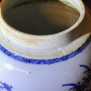 Een Chinese blauwwitte gemberpot met 'Drie vrienden van de winter', Kangxi — foto 9